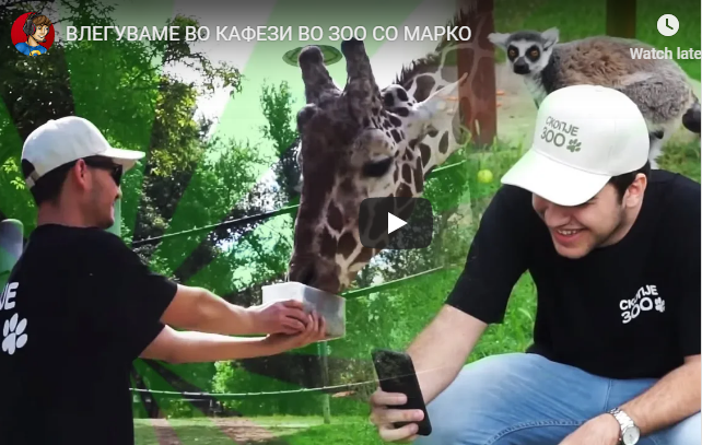 ВЛЕГУВАМЕ ВО КАФЕЗИ ВО ЗОО СО МАРКО