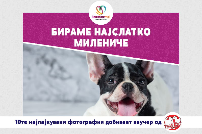 РАМСТОР МОЛ ГО ОДБЕЛЕЖУВА СВЕТСКИОТ ДЕН ЗА ЗАШТИТА НА ЖИВОТНИТЕ
