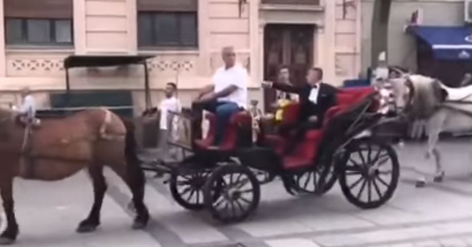 За лајкови или кејф: Матурант од Битола со два пајтони прошета низ градот на конзулите