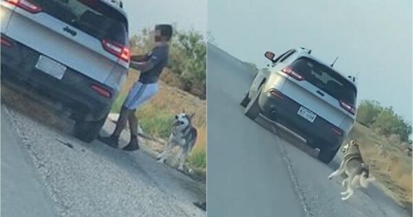 Видео кое на луѓето им ги скрши срцата: Ја остави хаската среде пат и си замина