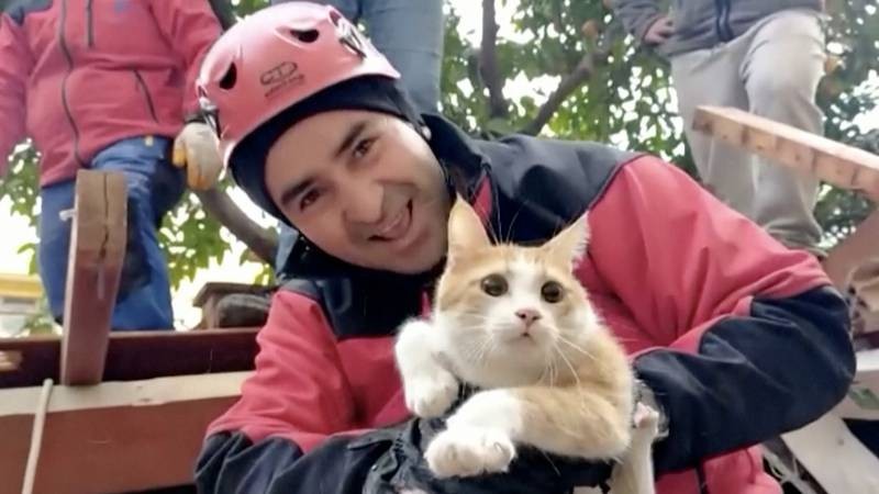 Студент на спасувачите им наредил прво да ја извлечат неговата мачка: Видео од Турција кое за кратко стана вирално