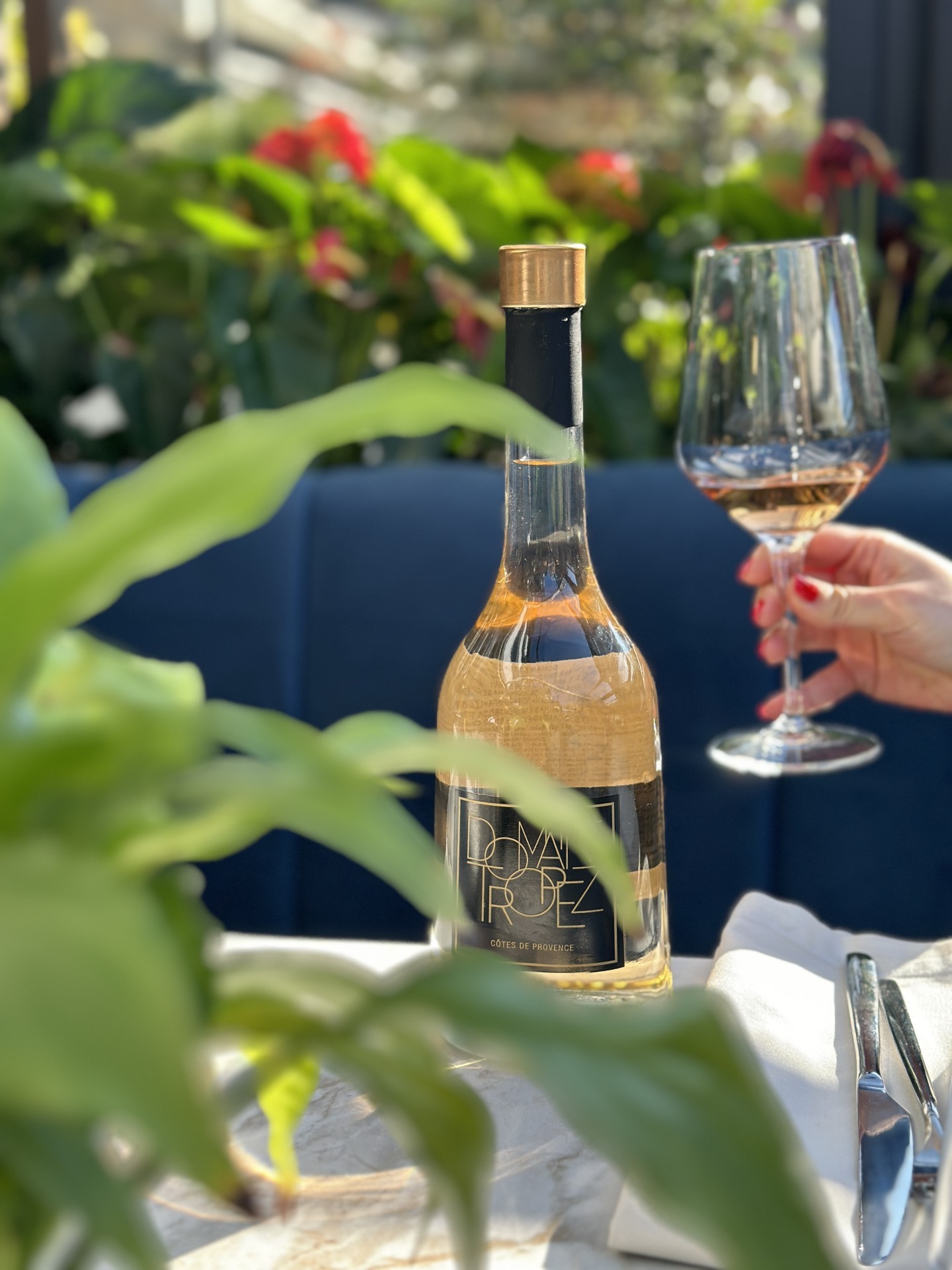 Daily Food & Wine e урбана гастрономска оаза што го претвора секојдневието во доживување