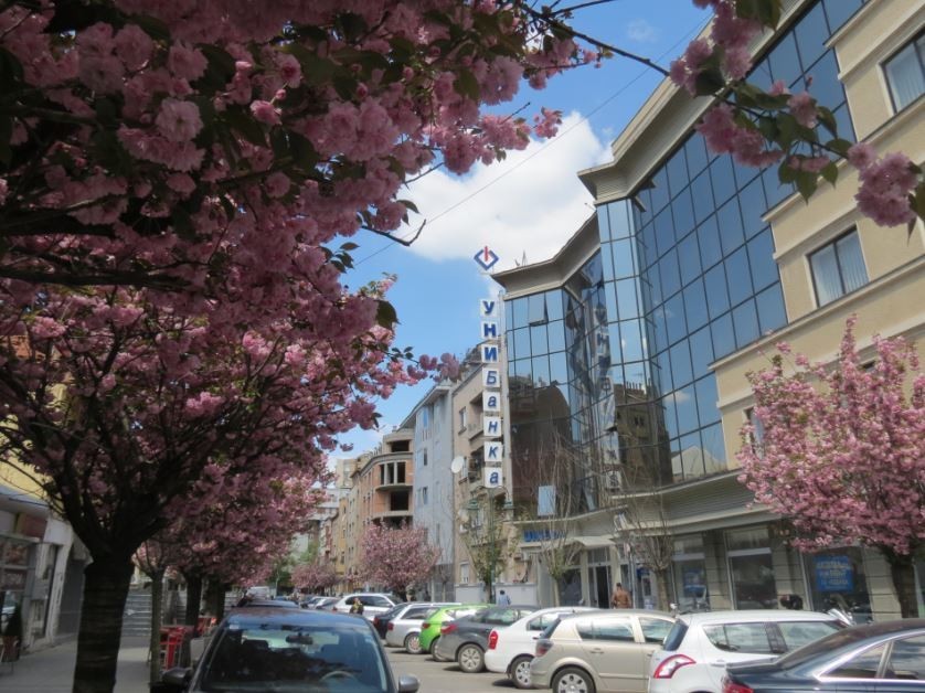 Како да земете бизнис кредит по најповолни услови, но во исто време да бидете заштитени?