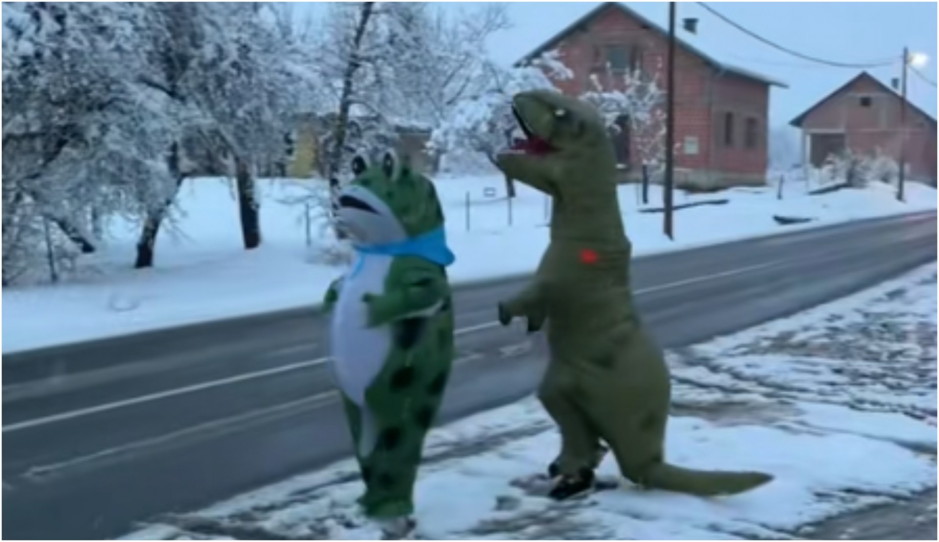 Снег, смеа и два костуми: Брат и сестра од Хрватска им го разубавија денот на сите што ги сретнаа