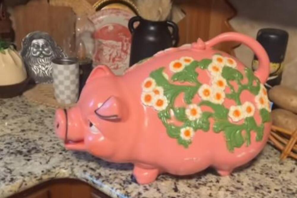 На бувјак купила прасе касичка за пари, која датира од 1970, кога ја отворила од неа излегле НЕВЕРОЈАТНИ РАБОТИ