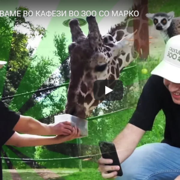 ВЛЕГУВАМЕ ВО КАФЕЗИ ВО ЗОО СО МАРКО