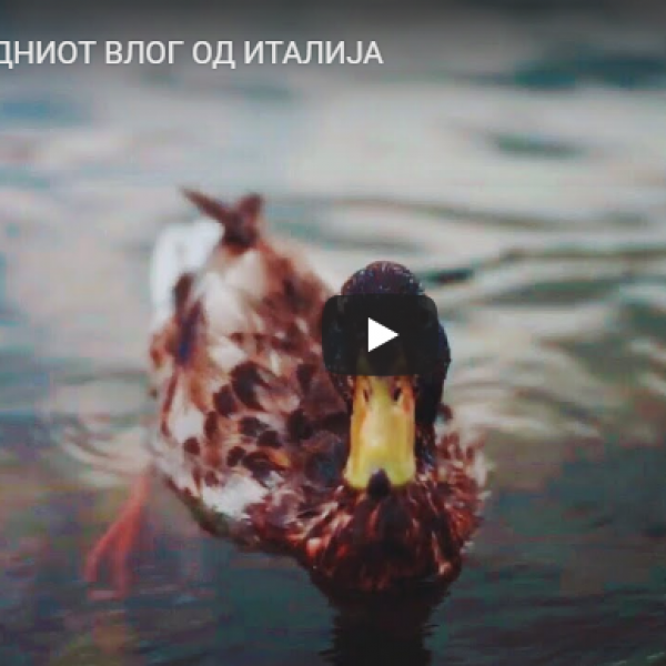 ПОСЛЕДНИОТ ВЛОГ ОД ИТАЛИЈА