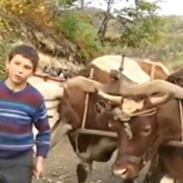 Стануваат во 7:30 за да им помогнат на родителите: 13 - годишните близнаци Милица и Милан живеат на планина