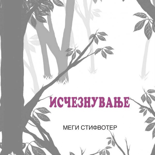 Книга на денот: „Исчезнување“ од Мери Стифвотер