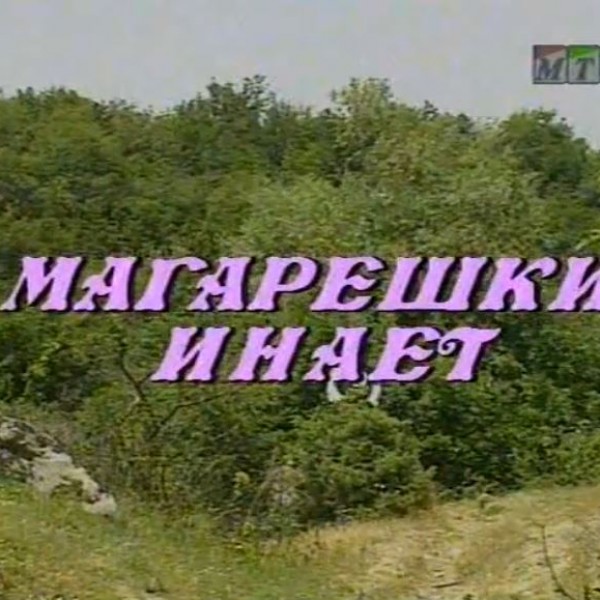 Потсетување на животните лекции од приказните: „Магарешки инает“