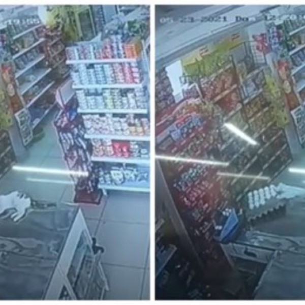 Хит на социјалните мрежи: Несмасна мачка скршила 18 јајца со едно движење