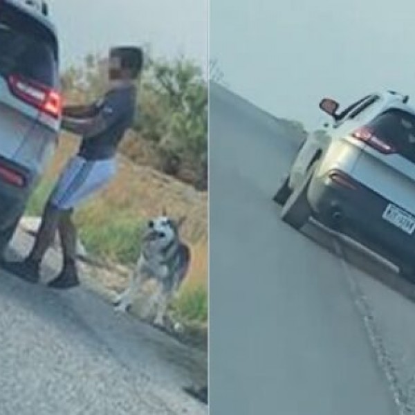 Видео кое на луѓето им ги скрши срцата: Ја остави хаската среде пат и си замина