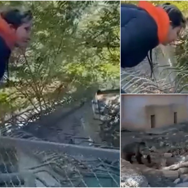 Недозволиво однесување: Студентка се изживува врз животните во Скопје ЗОО (ВИДЕО)