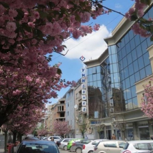 Бизнис Е-пакетите од УНИБанка обезбедуваат значајни заштеди за компаниите преку СЕПА системот!