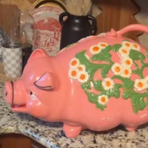 На бувјак купила прасе касичка за пари, која датира од 1970, кога ја отворила од неа излегле НЕВЕРОЈАТНИ РАБОТИ